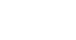 FDI: Future Designs, Inc.